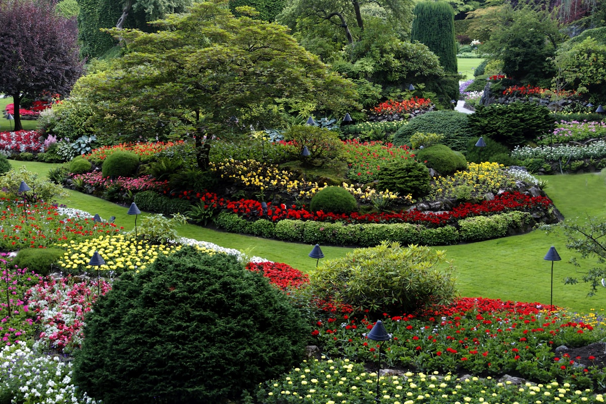 What to Expect from an Outdoor Design & Build Engagement